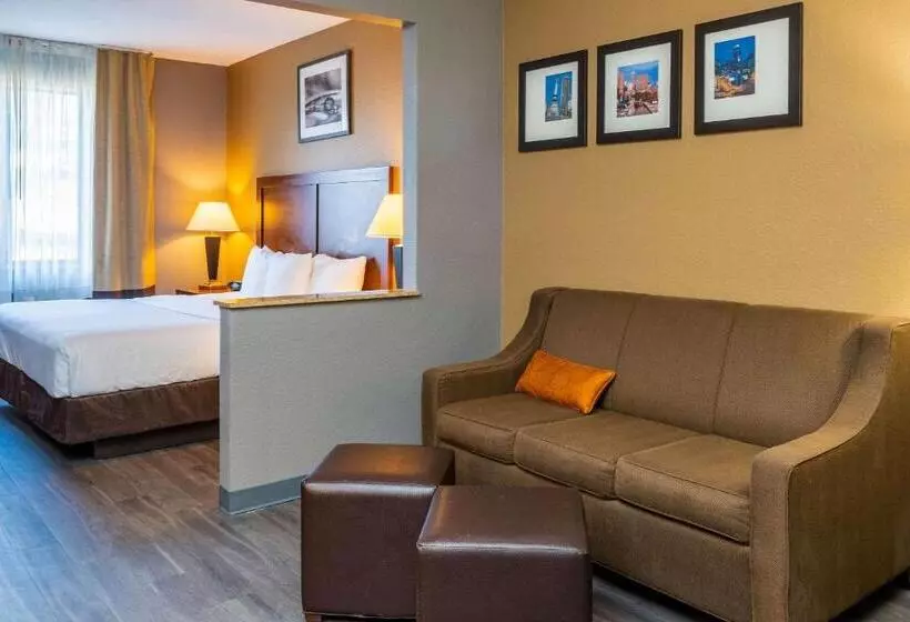 سوئیت برای معلولان, Quality Suites Ne Indianapolis Fishers