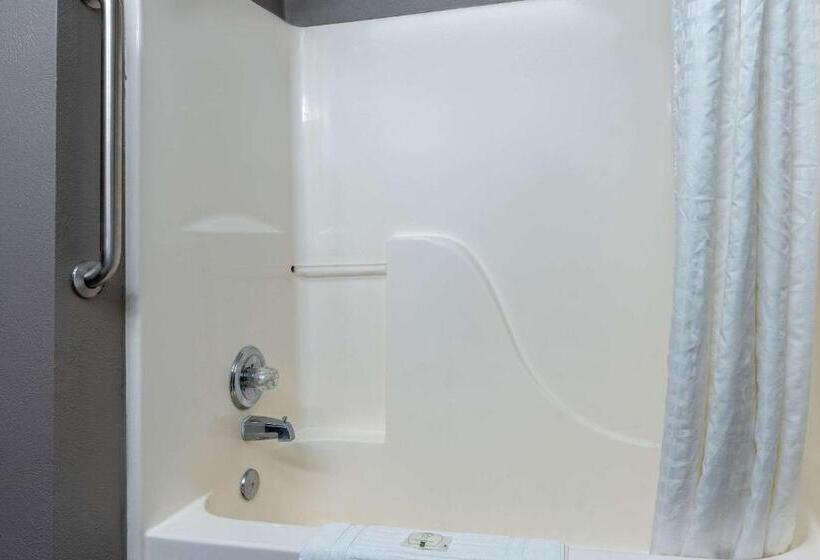 סוויטה מותאמת לאדם עם מוגבלויות, Quality Suites Ne Indianapolis Fishers