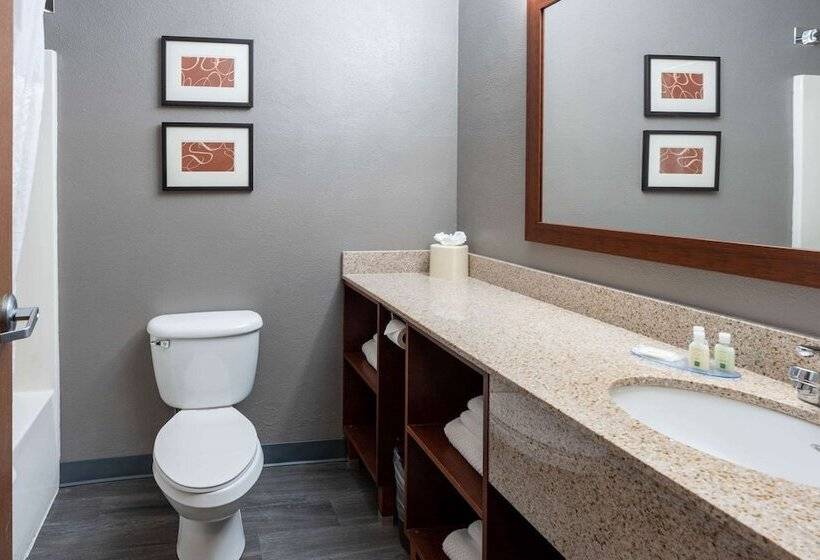 סוויטה, Quality Suites Ne Indianapolis Fishers