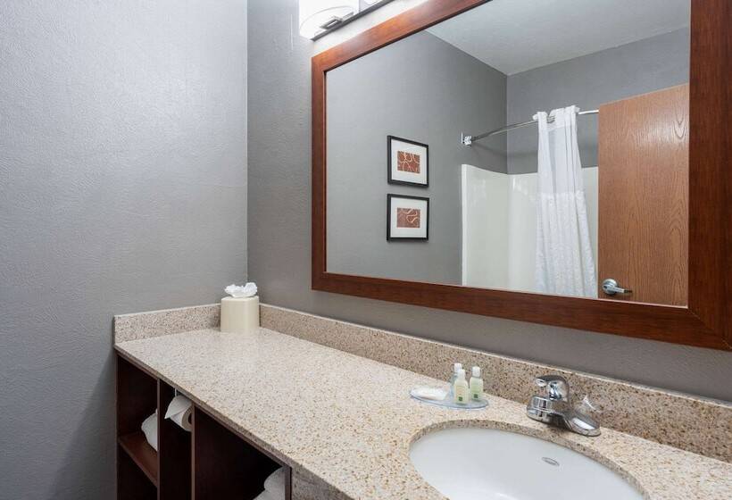 סוויטה מותאמת לאדם עם מוגבלויות, Quality Suites Ne Indianapolis Fishers