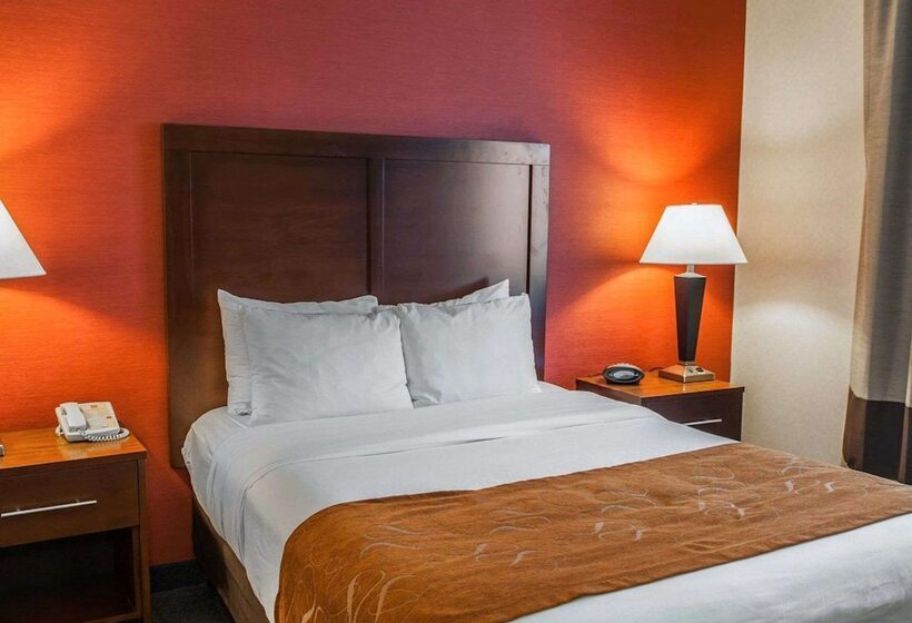 Suite Przystosowany dla Osób Niepełnosprawnych, Quality Suites Ne Indianapolis Fishers