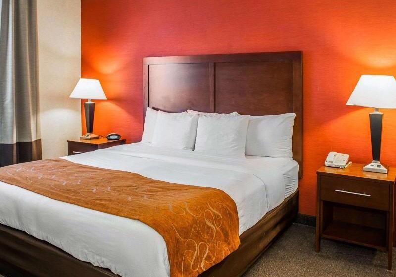 מיטת קינג בסוויטה, Quality Suites Ne Indianapolis Fishers