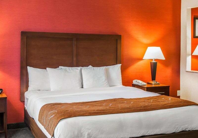 Suite Łóżko King Size, Quality Suites Ne Indianapolis Fishers