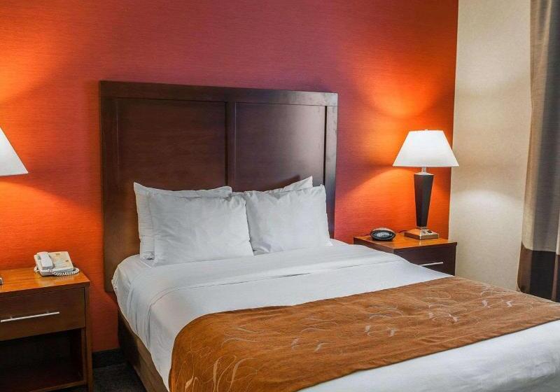 מיטת קינג בסוויטה, Quality Suites Ne Indianapolis Fishers