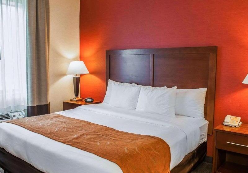 חדר סטנדרט, Quality Suites Ne Indianapolis Fishers