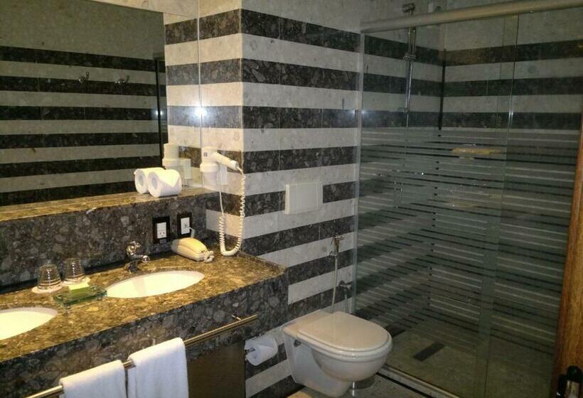 标准间, Royal Tulip Brasilia Alvorada