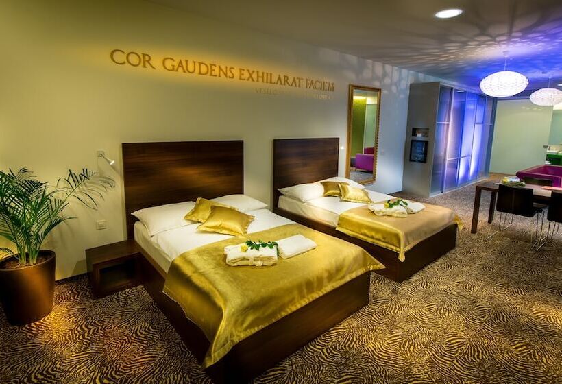 اتاق استاندارد, Rimske Terme Resort Hotel Zdraviliški Dvor