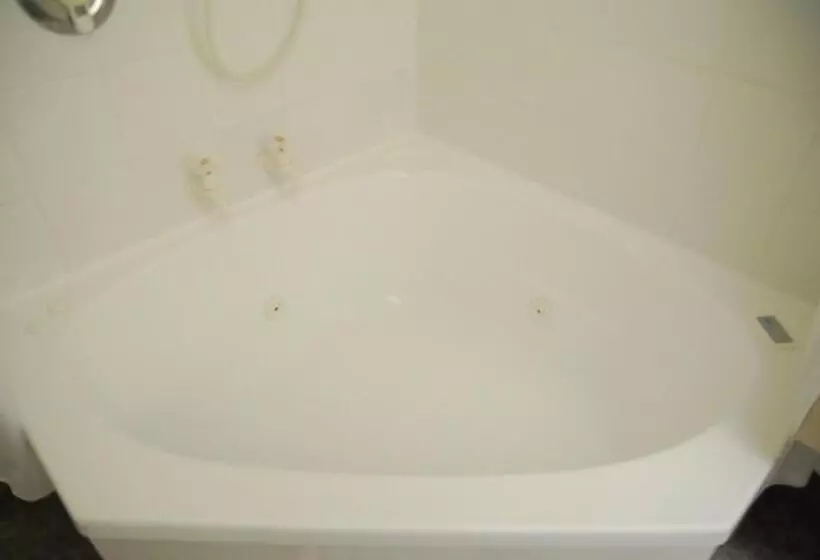 استودیوی استاندارد, Rosewood Court Motel