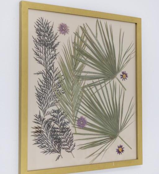 Номер Стандарт, Marhava