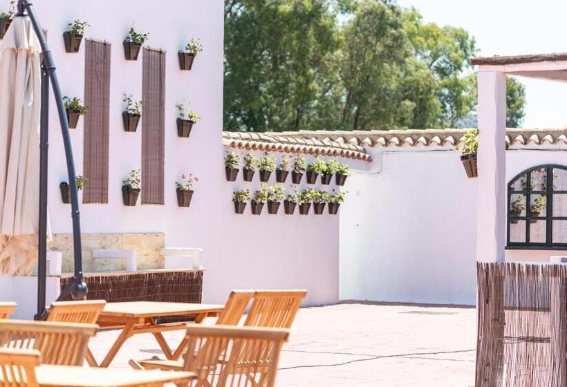 Номер Стандарт с Террасой, Marhava