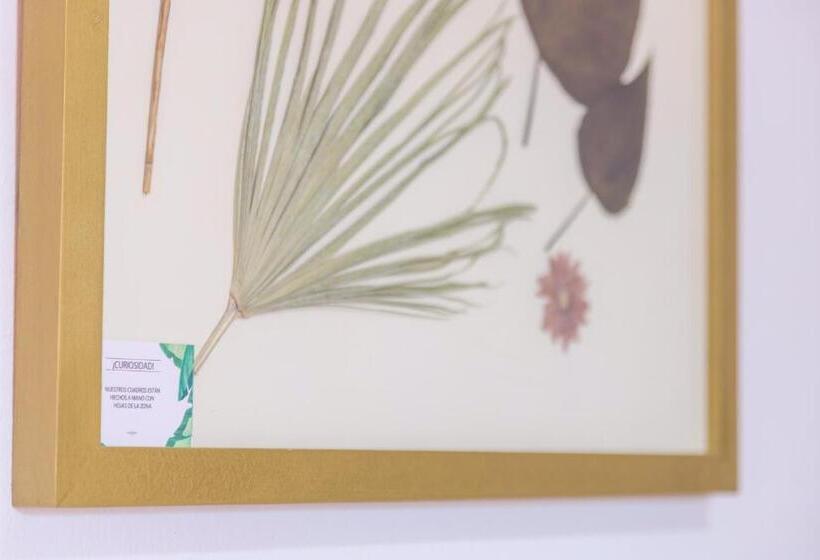 Номер Стандарт с Террасой, Marhava