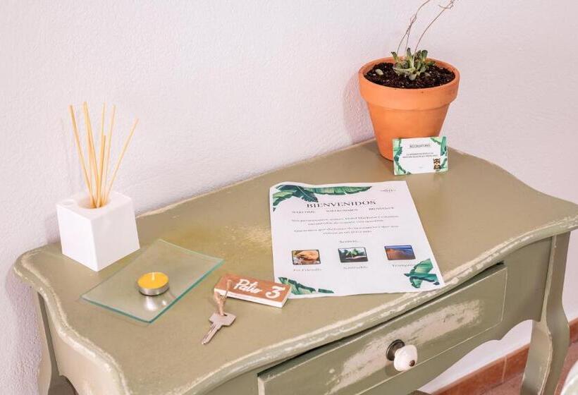 Номер Стандарт с Террасой, Marhava