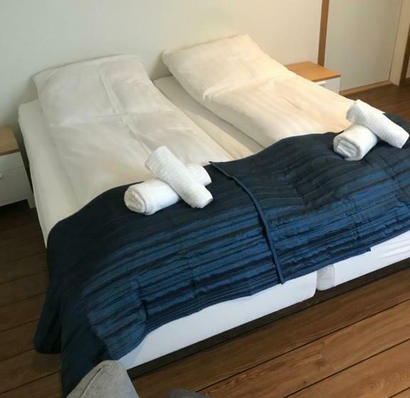 غرفة إقتصادية, Fridas Hotell