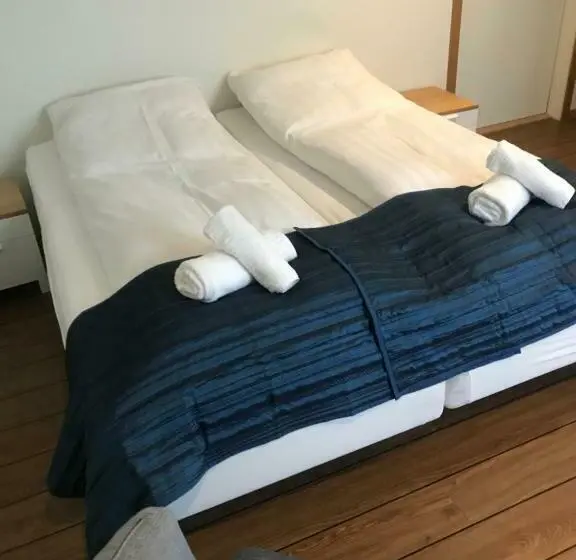 エコノミールーム, Fridas Hotell