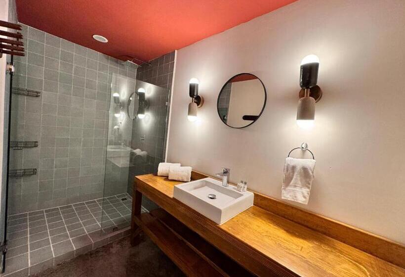 Apartamento 1 Dormitório, Olá Chapultepec
