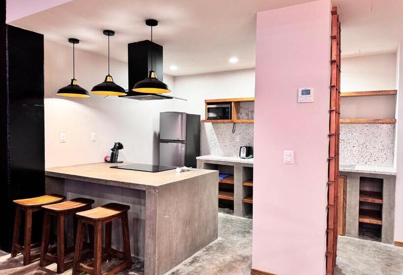 1 Schlafzimmer Apartment, Olá Chapultepec