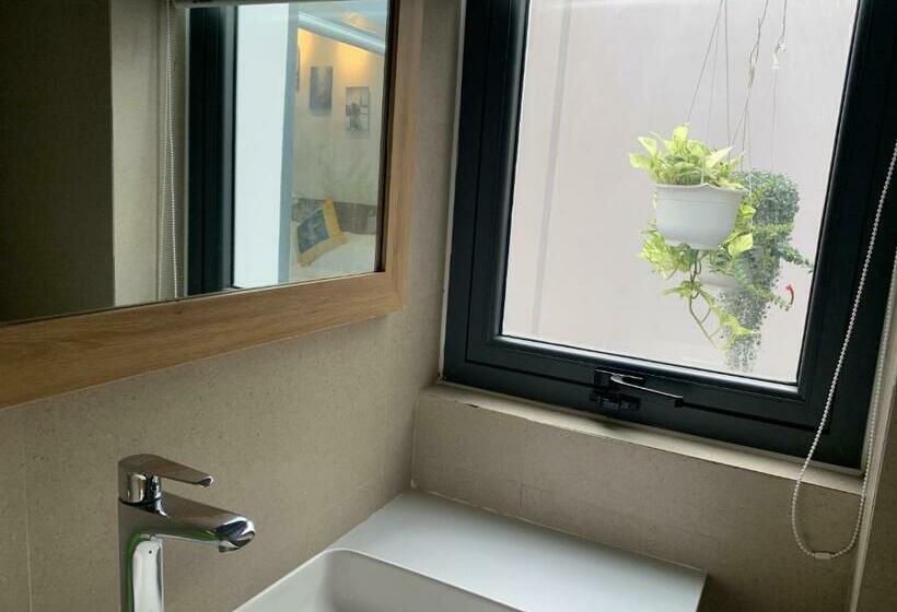 اتاق استاندارد, Vision