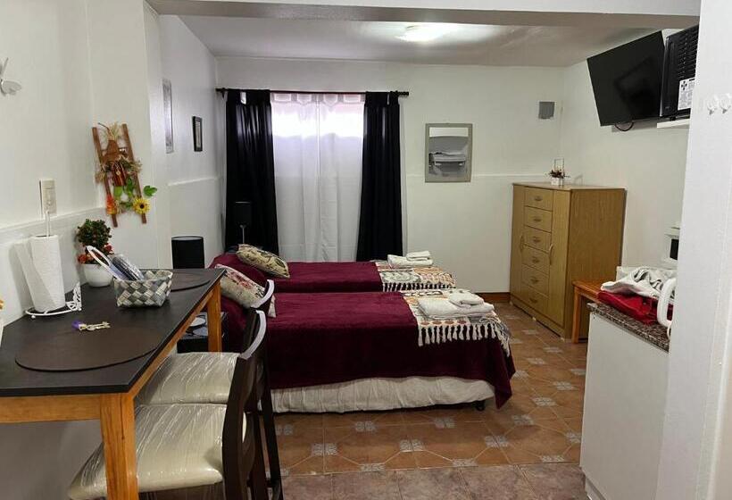 דירת חדר, Ms Hotel Campos 26