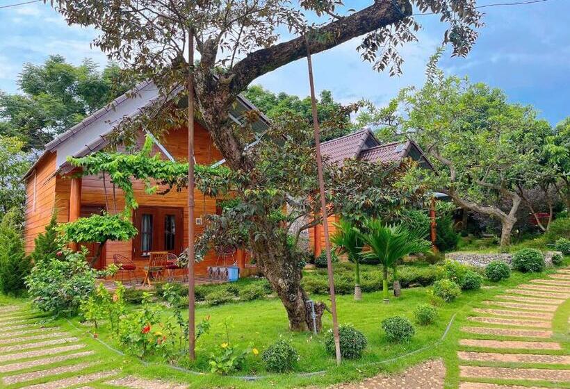 اتاق استاندارد, Sora Homestay