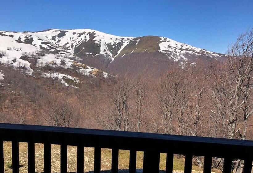 חדר משפחתי, Vershyna