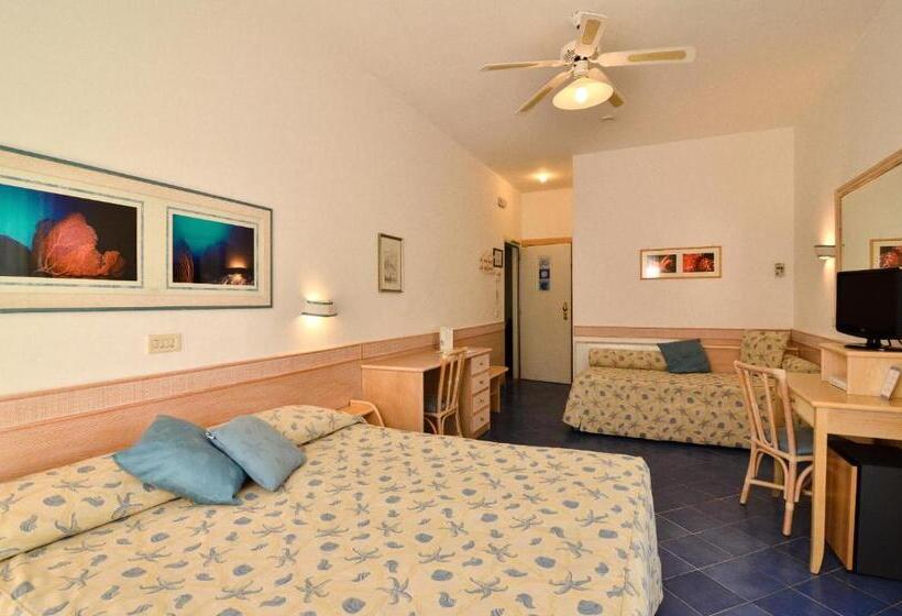 スタンダードトリプルルーム, Aurora