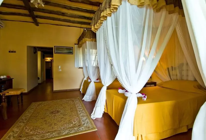 ジュニアスイート, Karafuu Beach Resort & Spa