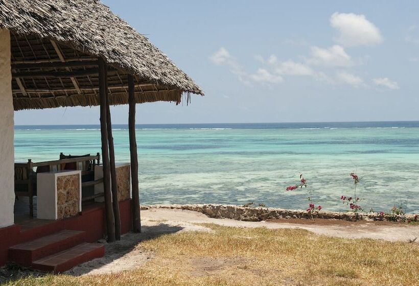 جناح جونيور, Karafuu Beach Resort & Spa