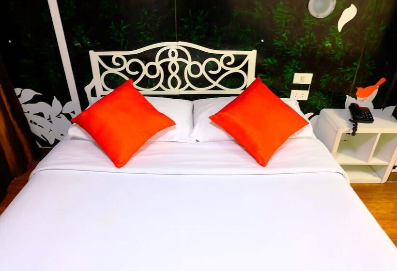 スタンダードルーム, Take A Nap