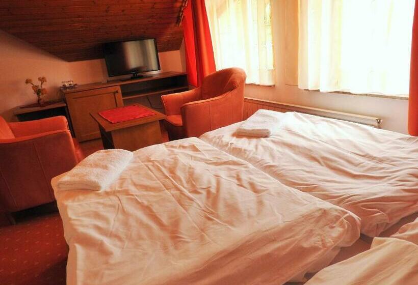 اتاق استاندارد, Penzion Montana