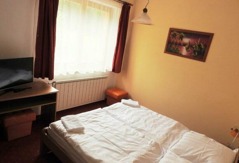 اتاق استاندارد, Penzion Montana