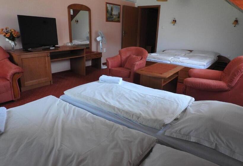 اتاق استاندارد چهار تخته, Penzion Montana