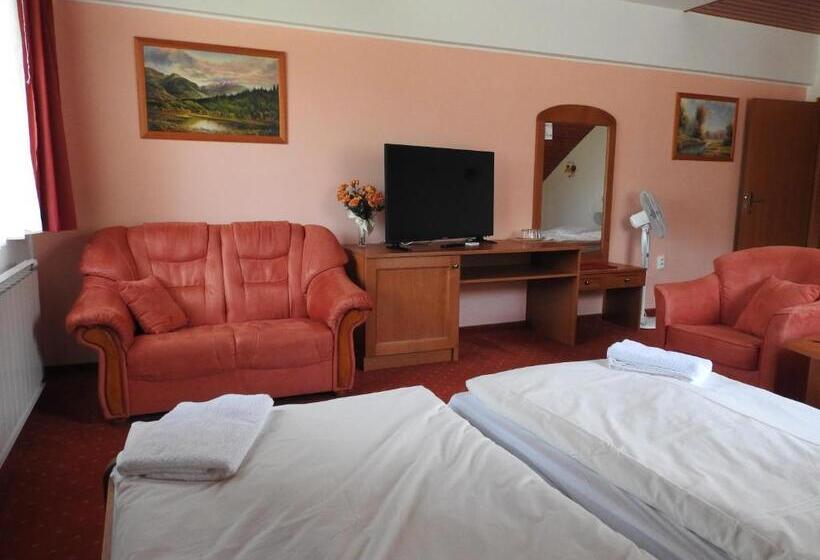 اتاق استاندارد چهار تخته, Penzion Montana