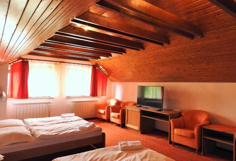 اتاق استاندارد چهار تخته, Penzion Montana