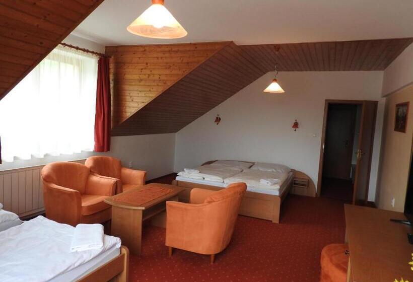 اتاق استاندارد چهار تخته, Penzion Montana