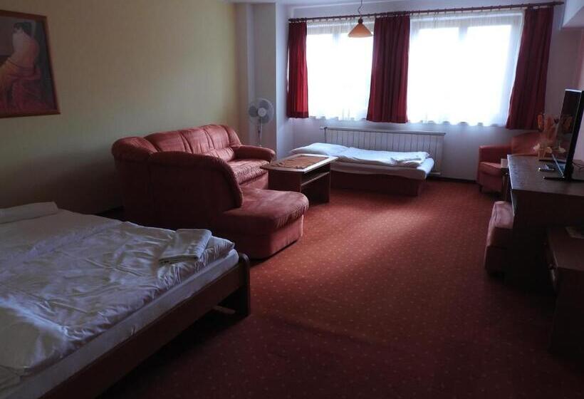 اتاق استاندارد سه نفره, Penzion Montana