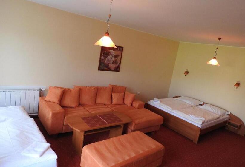 اتاق استاندارد سه نفره, Penzion Montana