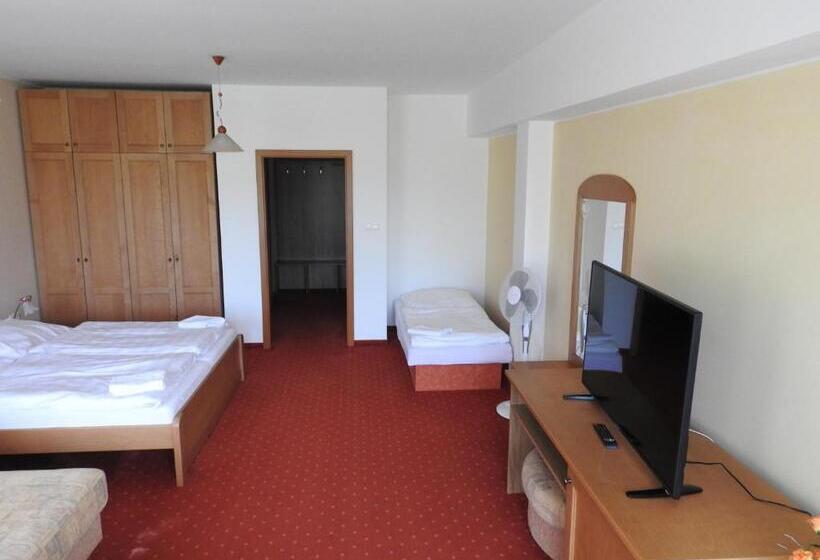 اتاق استاندارد سه نفره, Penzion Montana