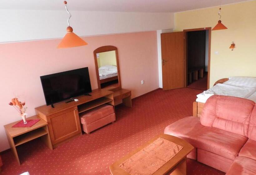 اتاق استاندارد سه نفره, Penzion Montana