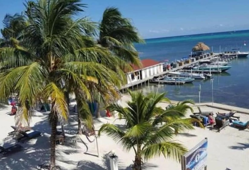 クイーンサイズベッドのスタンダードルーム, Corona Del Mar