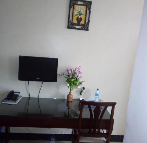 Pokój Ekonomiczny Jednoosobowy, Snow View