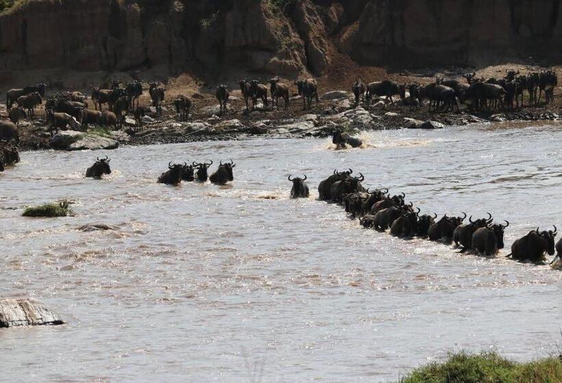 Pokój Deluxe, Snow View