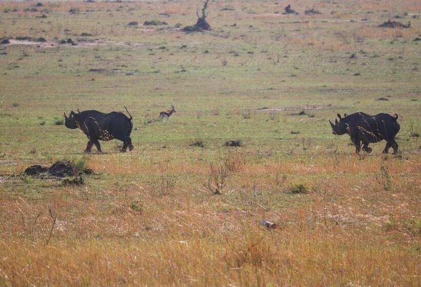 Pokój Deluxe, Snow View