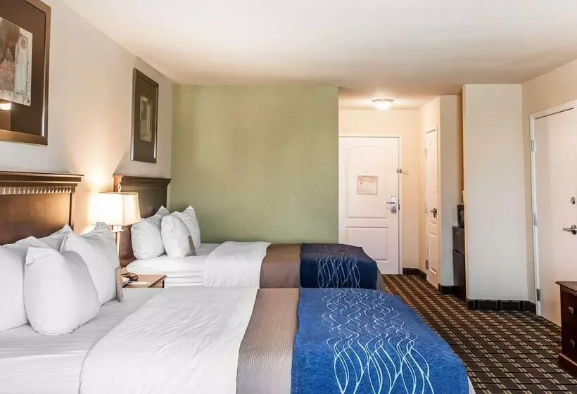2ダブルベッドのスタンダードルーム, Comfort Inn & Suites