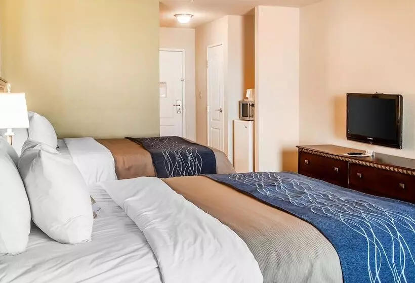 2ダブルベッドのスタンダードルーム, Comfort Inn & Suites