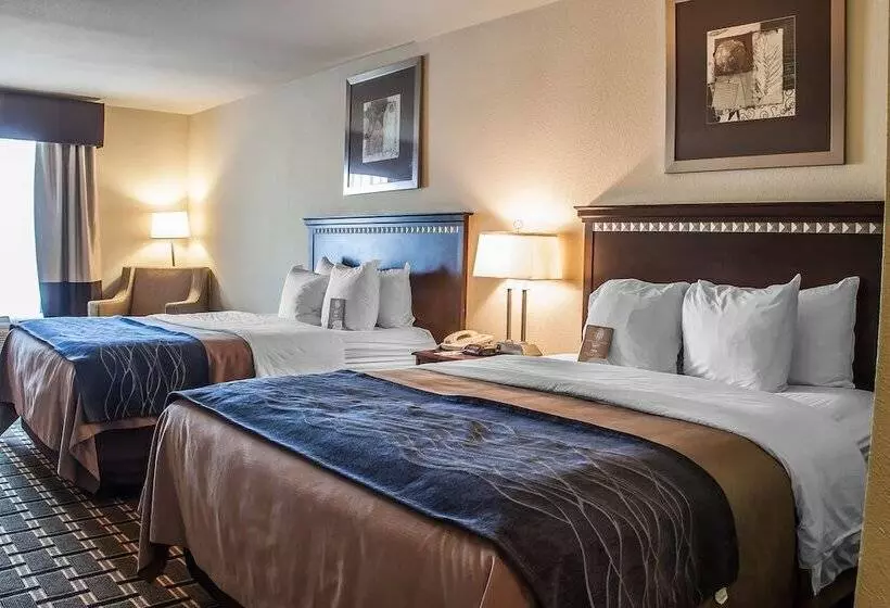 2ダブルベッドのスタンダードルーム, Comfort Inn & Suites