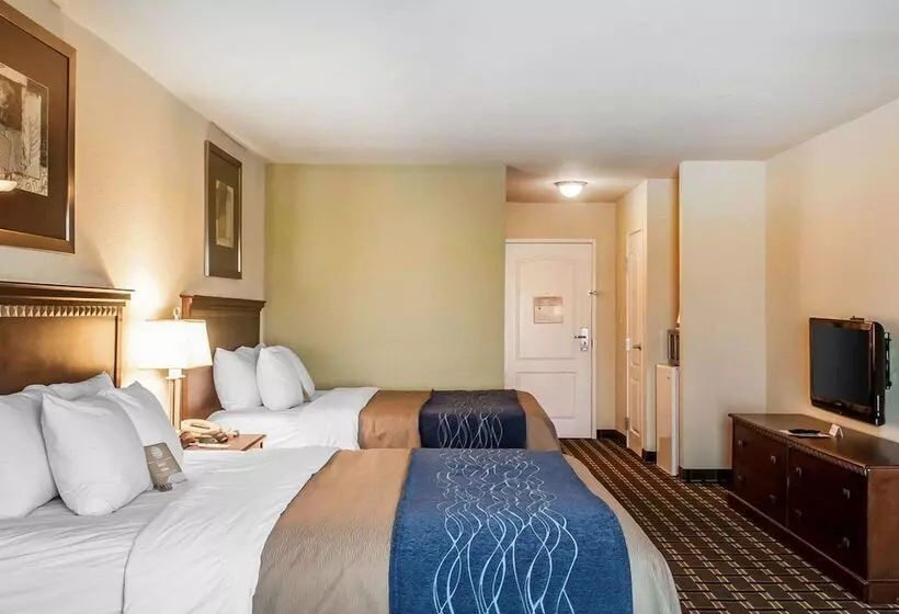 2ダブルベッドのスタンダードルーム, Comfort Inn & Suites