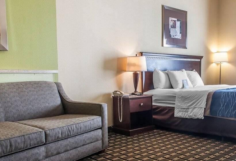 غرفه قياسيه سريرين مزدوجين, Comfort Inn & Suites