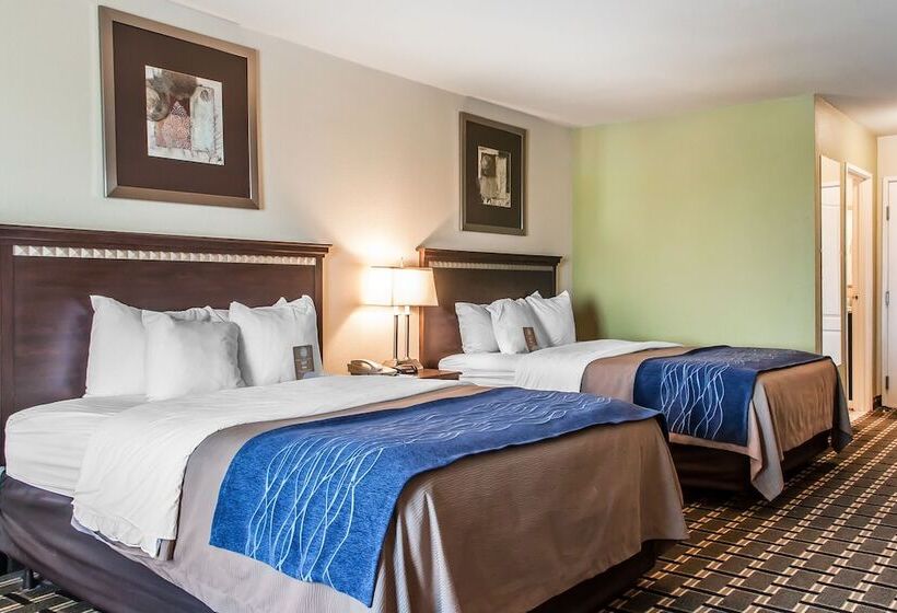 غرفه قياسيه سريرين مزدوجين, Comfort Inn & Suites