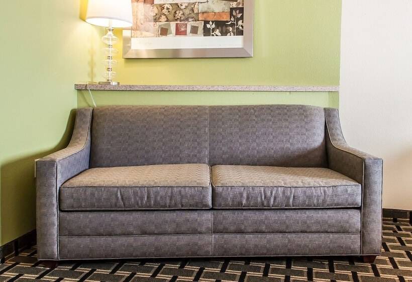 Люкс, Comfort Inn & Suites