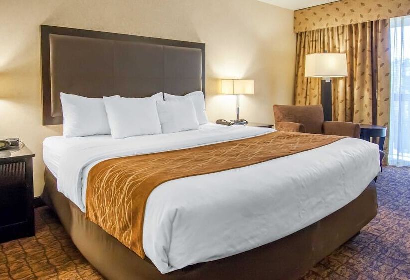 スタンダードルーム, Comfort Inn & Suites
